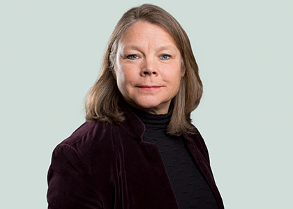 Elisabeth Svanberg, Styrelseledamot